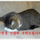공감 이미지
