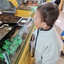 원주곤충마을박물관 이미지