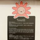 대만 타이베이 호텔 추천 타이베이가든호텔 창문 뷰 트윈룸 (3박 4일)