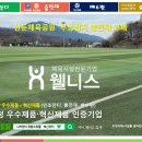 신둔 체육공원 축구장 이미지