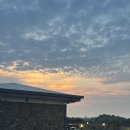 김녕돌담 이미지