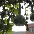 대전면사무소 이미지