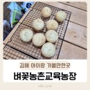솔솔농장 | 김해 아이랑 실내 가볼만한곳 감자빵 만들기 체험 벼꽃농촌교육농장 후기