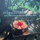 용수골 | 원주 판부면 용수골 카페, 그리너리 방문 후기 (복숭아빙수 맛집 추천)