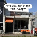 오지스튜디오 | 대구 셀프 만삭사진ㅣ 앞산 셀프스튜디오 오지 셀프 사진관 후기