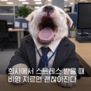 농부치킨 대화점 | 사람이 힘들잖아 지쳤다잖아 왜그래 도대체 그만해야하잖아