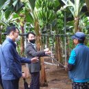 정예농장 이미지