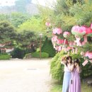 충북화원 이미지