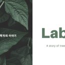 아름드리호프 이미지