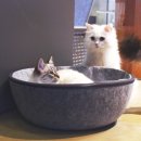 슬로우하우스 이미지