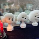 찌니살롱 이미지