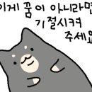 꺄도하우스 이미지