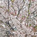 유예농장 | 2026 제23회 농산물품질관리사 1차 시험 후기! (feat. 주경야독의 쓴맛과 성심당 빵지순례)