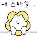 프리지아103 이미지