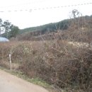 동해시-51 이미지