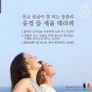 수정뷰티 - 속초시 동해대로 4307-1 | 수정뷰티