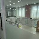 장보는 강아지와 고양이 이미지