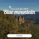 세봉농장 | 시드니 블루마운틴 투어 솔직 후기｜가격 할인 코스 페더데일 동물원 코알라 사진까지