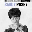 Put Your Hand In The Hand - Sandy Posey - 이미지