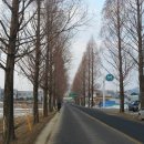 수북농협주유소 이미지