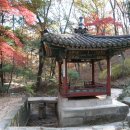 신신목재 이미지