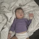 황한의원 | 2025.11.20. 황마스 D+422. 이유식245일째 유아식37일째. 어린이집 2시간넷째날! 밥태기 완전극복! 엄빠...