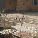 산골흙집 이미지