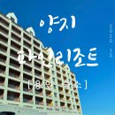 용인 양지파인리조트 펫룸 : 가성비 좋은 42평 스키장 숙소 6인 이용 후기