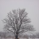 당포의아침 이미지