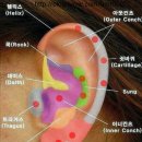 미스 당구장 이미지