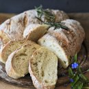 호라마트 이미지