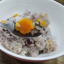 화담 영양돌솥밥 이미지