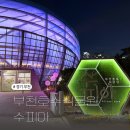 [부천] 아이랑 야간 밀림 탐험! — 부천호수식물원 수피아 야간개장 후기