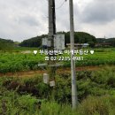 이천역부동산공인중개사사무소 이미지