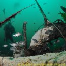 수산목장 이미지