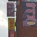 엘디스사랑결혼정보 이미지