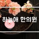 하늘애한의원 이미지