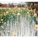 공한약국 이미지