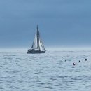 푸른물결 넘실 대는 왕산해수욕장 이미지