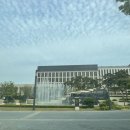 본월드아트테인먼트 | 진정한 호캉스의 끝판왕 대강추_ 인천 파라다이스 시티 호텔 더블 디럭스룸 (수영장, 조식, 쇼핑 플라자...