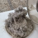 송림세탁 이미지