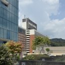 힐모텔 | 비스타 워커힐 서울 호텔 투숙 후기 + 수영장, 뷔페