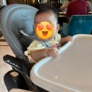 파라다이스 호텔 | 결혼 1주년 기념 여행 | 부산 파라다이스호텔 후기