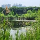 대청로,신장동로 등 이미지