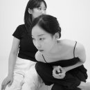 파티또예 이미지