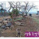 봄뜰에농장 이미지