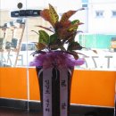 냉천2리 이미지