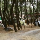 몽산포주유소 이미지
