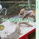 장수소방서 | [서울근교 구리 실내 아이와 가볼만한 곳] 곤충생태 박물관 아이랑 짚라인 나비 애벌레 체험
