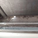 해누리 클린 이미지